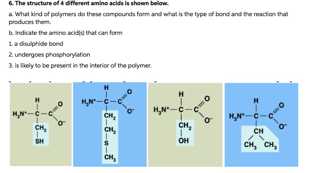 SOLVED 6. The structure of 4 different amino acids is shown below