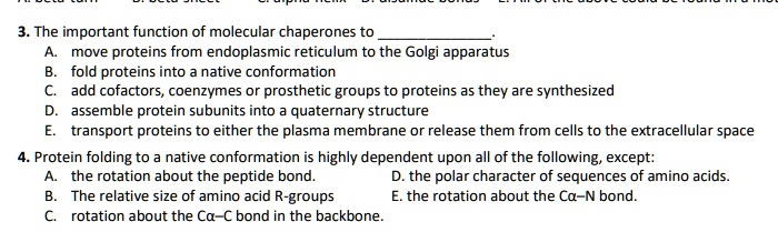 3. The important function of molecular chaperones to .
A. move proteins from endoplasmic reticulum to the Golgi apparatus
B. fold proteins into a native conformation
C. add cofactors, coenzymes or prosthetic groups to proteins as they are synthesized
D. assemble protein subunits into a quaternary structure
E. transport proteins to either the plasma membrane or release them from cells to the extracellular space
4. Protein folding to a native conformation is highly dependent upon all of the following, except:
A. the rotation about the peptide bond.
D. the polar character of sequences of amino acids.
B. The relative size of amino acid R-groups
E. the rotation about the C?–N bond.
C. rotation about the C?–C bond in the backbone.