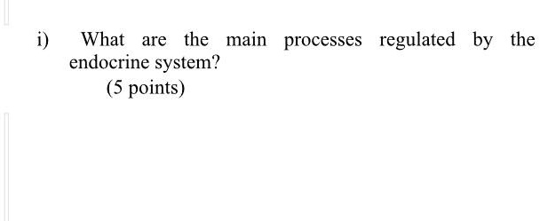 i) What are the main processes regulated by the endocrine system?