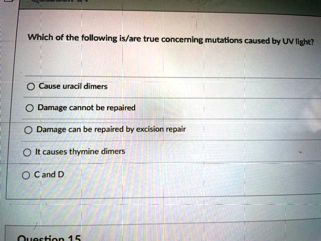 Solved:which Of The Following Is/Are True Conceming Mutations Caused By Uv  Light? Cause Uracil - Dimers Damage Cannot Be Repaired Damage Can Be  Repaired By Excision Repair It Causes Thymine Dimers Cand Solved:which Of The Following Is/Are True Conceming Mutations Caused By Uv  Light? Cause Uracil - Dimers Damage Cannot Be Repaired Damage Can Be  Repaired By Excision Repair It Causes Thymine Dimers Cand