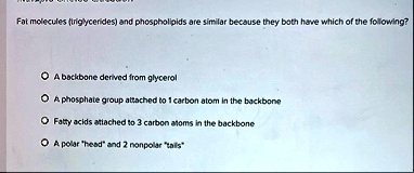 fat molecules triglycerides and phospholipids are similar because they both have which of the following a backbone derived from glycerol a phosphate group attached to 1 carbon atom in the ba 45389