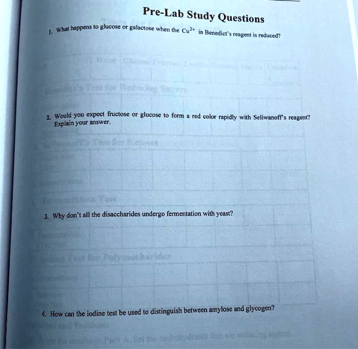 SOLVED PreLab Study Questions What happens to glucose or galactose when the Cu2+ Benedict's