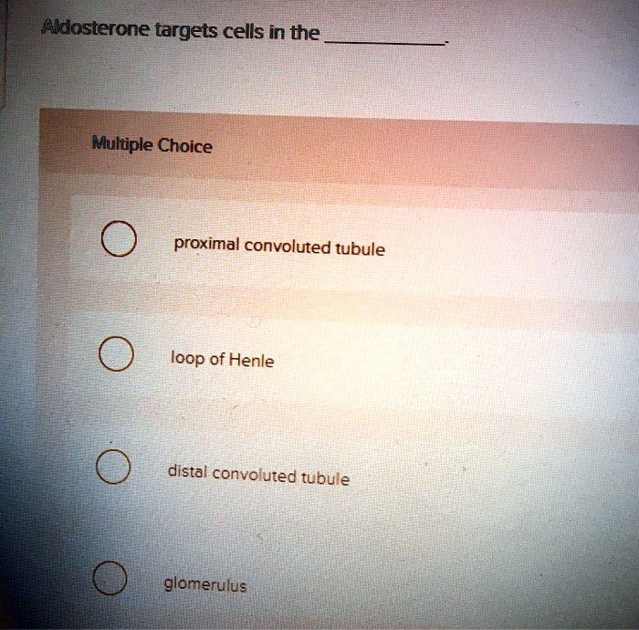 Aldosterone targets cells in the
Multiple Choice
proximal convoluted tubule
loop of Henle
distal convoluted tubule
glomerulus