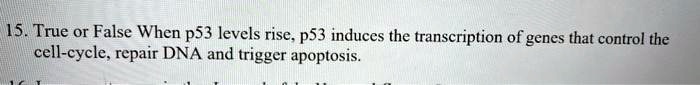15. True or False When p53 levels rise, p53 induces the transcription of genes that control the cell-cycle, repair DNA and trigger apoptosis.