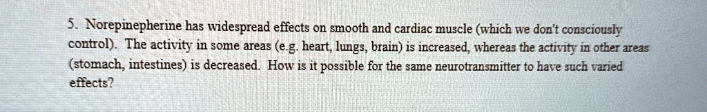 5 norepinepherine has widespread effects on smooth and cardiac muscle which we dont consciously control the activity in some areas eg heart lungs brain is increased whereas the activity in o 24562
