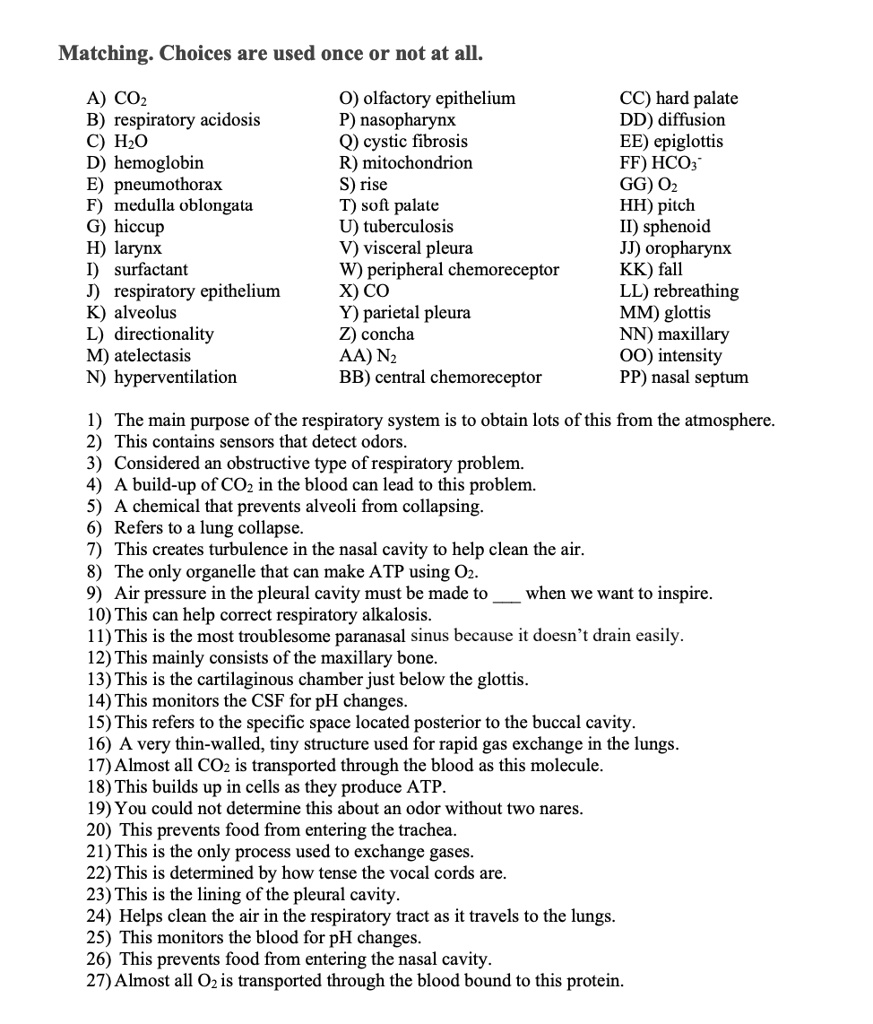Matching. Choices are used once or not at all.

A) CO2 O) olfactory epithelium CC) hard palate
B) respiratory acidosis P) nasopharynx DD) diffusion
C) H2O Q) cystic fibrosis EE) epiglottis
D) hemoglobin R) mitochondrion FF) HCO3-
E) pneumothorax S) rise GG) O2
F) medulla oblongata T) soft palate HH) pitch
G) hiccup U) tuberculosis II) sphenoid
H) larynx V) visceral pleura JJ) oropharynx
I) surfactant W) peripheral chemoreceptor KK) fall
J) respiratory epithelium X) CO LL) rebreathing
K) alveolus Y) parietal pleura MM) glottis
L) directionality Z) concha NN) maxillary
M) atelectasis AA) N2 OO) intensity
N) hyperventilation BB) central chemoreceptor PP) nasal septum

1) The main purpose of the respiratory system is to obtain lots of this from the atmosphere.
2) This contains sensors that detect odors.
3) Considered an obstructive type of respiratory problem.
4) A build-up of CO2 in the blood can lead to this problem.
5) A chemical that prevents alveoli from collapsing.
6) Refers to a lung collapse.
7) This creates turbulence in the nasal cavity to help clean the air.
8) The only organelle that can make ATP using O2.
9) Air pressure in the pleural cavity must be made to  when we want to inspire.
10) This can help correct respiratory alkalosis.
11) This is the most troublesome paranasal sinus because it doesn't drain easily.
12) This mainly consists of the maxillary bone.
13) This is the cartilaginous chamber just below the glottis.
14) This monitors the CSF for pH changes.
15) This refers to the specific space located posterior to the buccal cavity.
16) A very thin-walled, tiny structure used for rapid gas exchange in the lungs.
17) Almost all CO2 is transported through the blood as this molecule.
18) This builds up in cells as they produce ATP.
19) You could not determine this about an odor without two nares.
20) This prevents food from entering the trachea.
21) This is the only process used to exchange gases.
22) This is determined by how tense the vocal cords are.
23) This is the lining of the pleural cavity.
24) Helps clean the air in the respiratory tract as it travels to the lungs.
25) This monitors the blood for pH changes.
26) This prevents food from entering the nasal cavity.
27) Almost all O2 is transported through the blood bound to this protein.