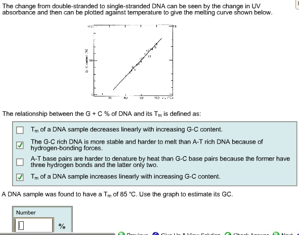 the change from double stranded to single stranded dna can be seen by ...
