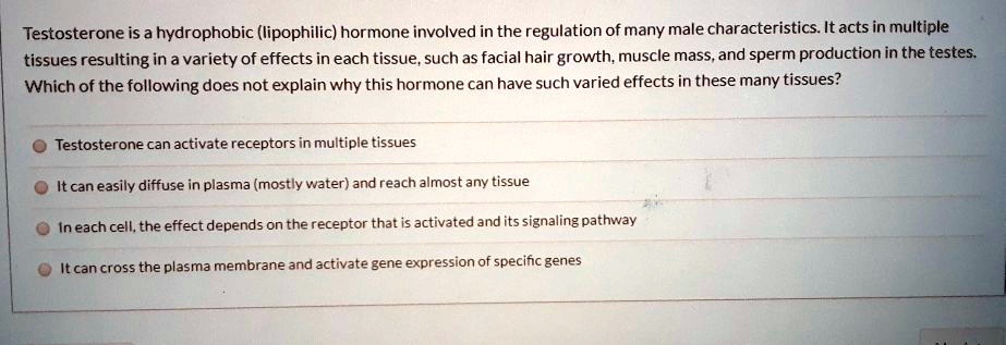 Testosterone is a hydrophobic (lipophilic) hormone involved in the regulation of many male characteristics. It acts in multiple tissues resulting in a variety of effects in each tissue, such as facial hair growth, muscle mass, and sperm production in the testes. Which of the following does not explain why this hormone can have such varied effects in these many tissues?

Testosterone can activate receptors in multiple tissues
It can easily diffuse in plasma (mostly water) and reach almost any tissue
In each cell, the effect depends on the receptor that is activated and its signaling pathway
It can cross the plasma membrane and activate gene expression of specific genes