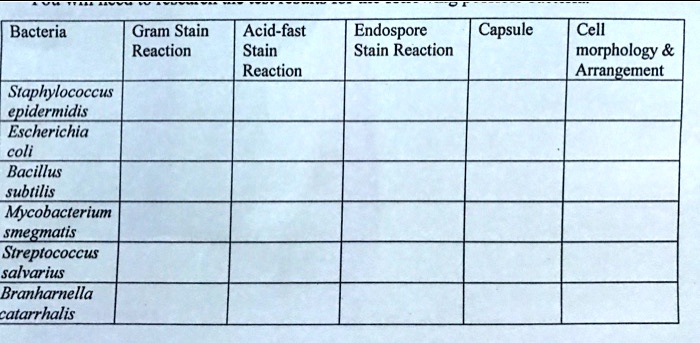 SOLVED: Bacteria Gram Stain Reaction Acid-fast Stain Reaction Endospore