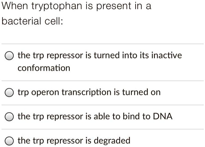 when tryptophan is present