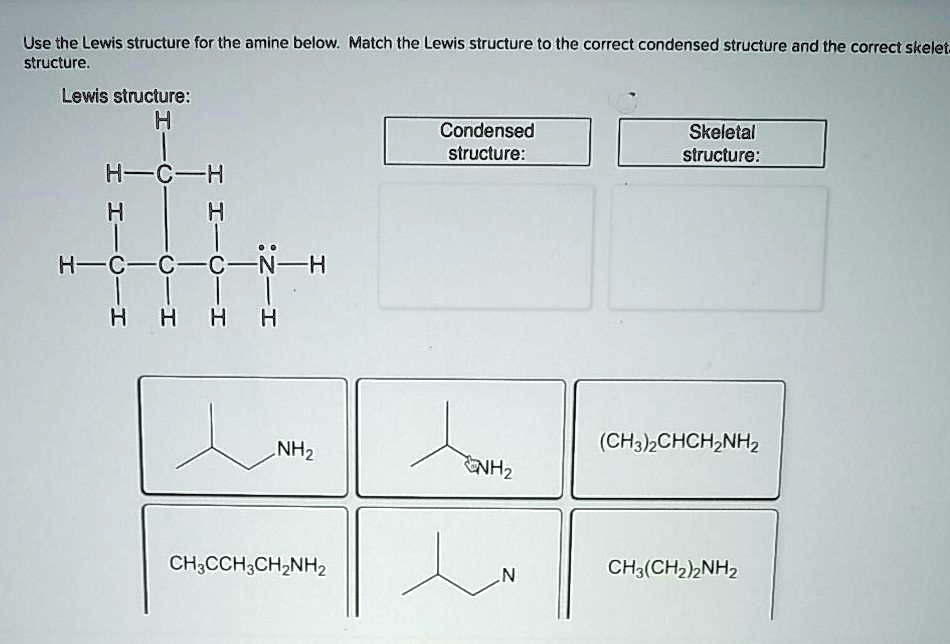 Use The Lewis Structure For The Amine Below Match The Solvedlib 4813