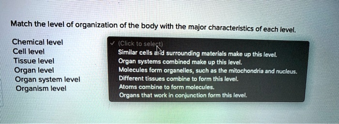 SOLVED: Match The Level Of Organization Of The Body With The Major ...