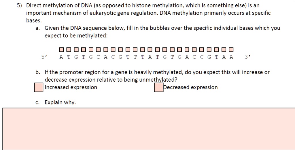 5) Direct methylation of DNA (as opposed to histone methylation, which is something else) is an important mechanism of eukaryotic gene regulation. DNA methylation primarily occurs at specific bases.
a. Given the DNA sequence below, fill in the bubbles over the specific individual bases which you expect to be methylated:
5' A T G T G C A C G T T T A T G T G A C C G T A A 3'
b. If the promoter region for a gene is heavily methylated, do you expect this will increase or decrease expression relative to being unmethylated?
Increased expression
Decreased expression
c. Explain why.
