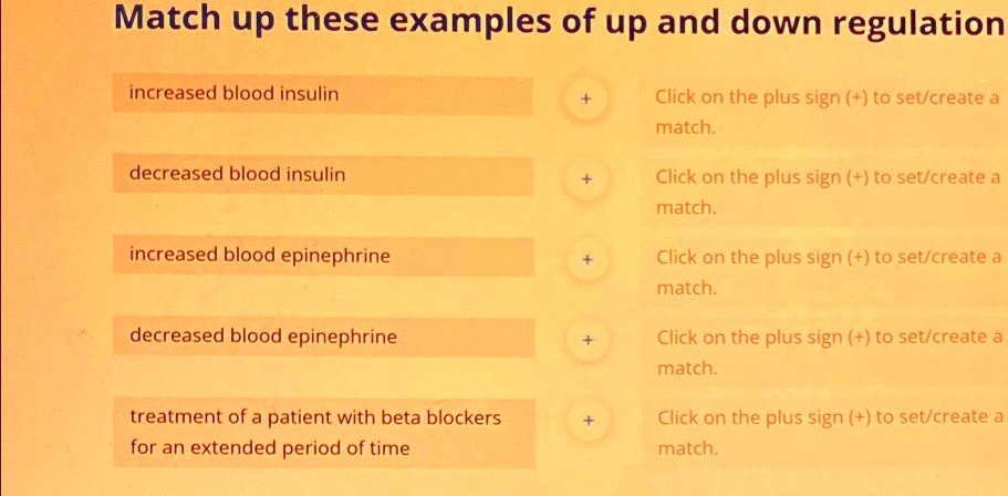 Match up these examples of up and down regulation
increased blood insulin
+
Click on the plus sign (+) to set/create a
match.
decreased blood insulin
+
Click on the plus sign (+) to set/create a
match.
increased blood epinephrine
+
Click on the plus sign (+) to set/create a
match.
decreased blood epinephrine
+
Click on the plus sign (+) to set/create a
match.
treatment of a patient with beta blockers
+
Click on the plus sign (+) to set/create a
for an extended period of time
match.