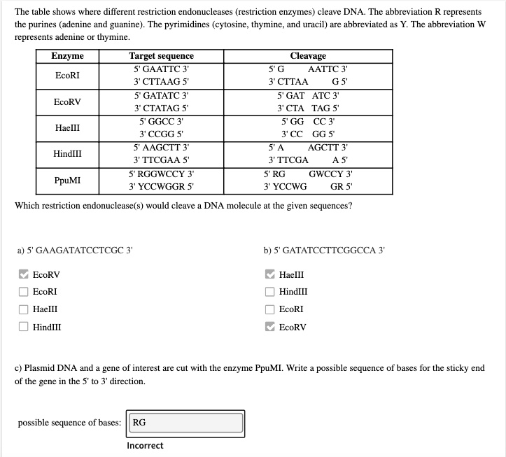 Solved: The Table Shows Where Dilferent Restriction Endonucleases 