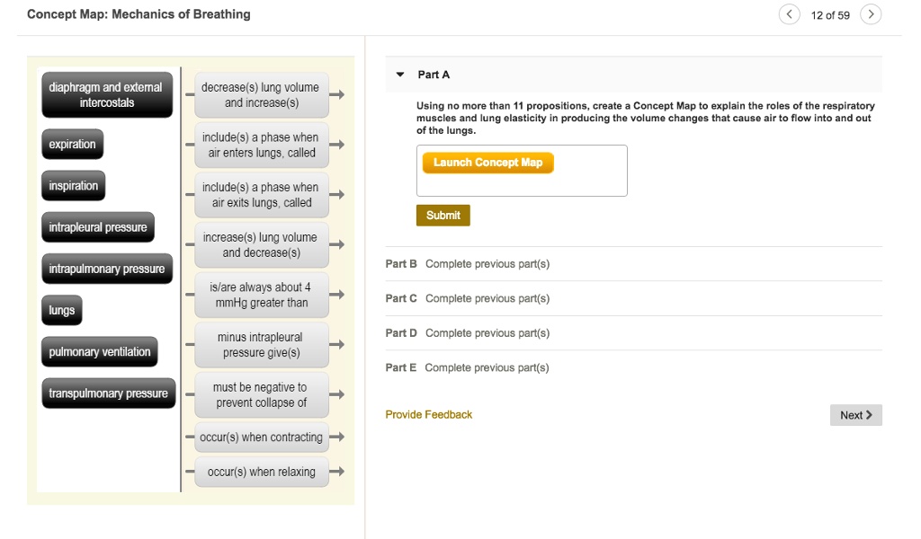 SOLVED Using no more than 11 propositions, create a Concept Map to explain the roles of the