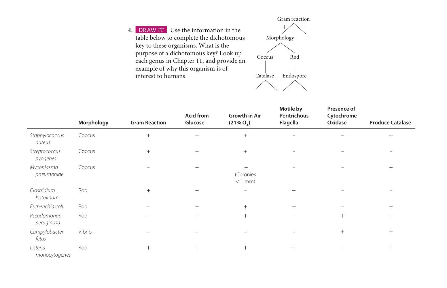 Use the information in the table below to complete the dichotomous key