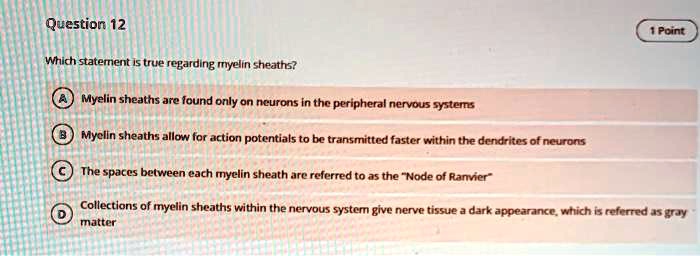 Which statement is true regarding myelin sheaths?
A Myelin sheaths are found only on neurons in the peripheral nervous systems
B Myelin sheaths allow for action potentials to be transmitted faster within the dendrites of neurons
C The spaces between each myelin sheath are referred to as the "Node of Ranvier"
D Collections of myelin sheaths within the nervous system give nerve tissue a dark appearance, which is referred as gray matter