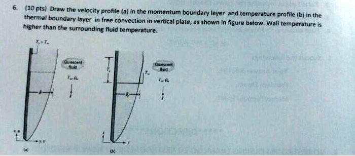 Draw the velocity profile in the momentum boundary layer and the ...