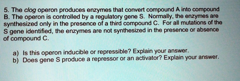 5. The clog operon produces enzymes that convert compound A into compound B. The operon is controlled by a regulatory gene S. Normally, the enzymes are synthesized only in the presence of a third compound C. For all mutations of the S gene identified, the enzymes are not synthesized in the presence or absence of compound C.

a) Is this operon inducible or repressible? Explain your answer.
b) Does gene S produce a repressor or an activator? Explain your answer.
