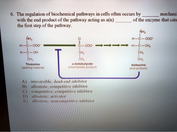 SOLVED: The : Regulation Of Biochemical Pathways In Cells Often Occurs ...