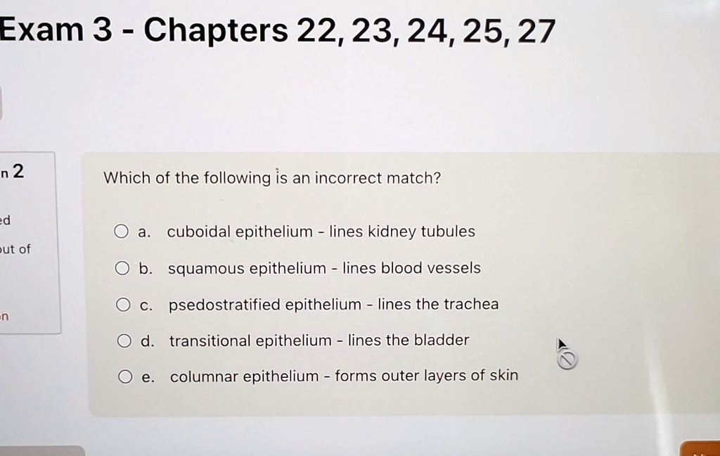 Which Of The Following Is An Incorrect Match exam 3 chapters 22 23 24 25 27 which of the following is an incorrect