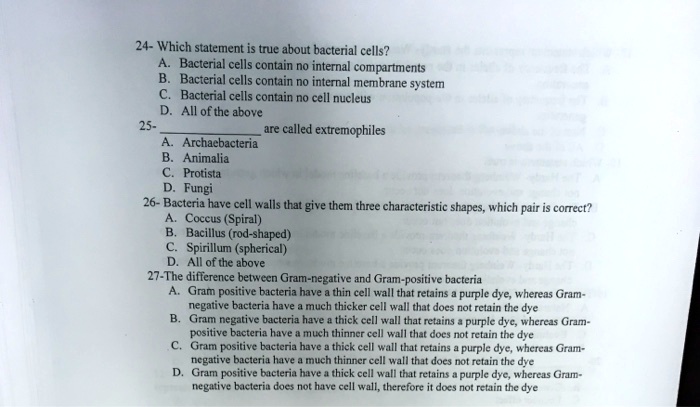 Solved:24- Which Statement Is True About Bacterial Cells? Bacterial Cells  Contain No Internal Compartments Bacterial Cells Contain No Internal  Membrane System Bacterial Cells Contain No Cell Nucleus All Of The Above 25- Solved:24- Which Statement Is True About Bacterial Cells? Bacterial Cells  Contain No Internal Compartments Bacterial Cells Contain No Internal  Membrane System Bacterial Cells Contain No Cell Nucleus All Of The Above 25-