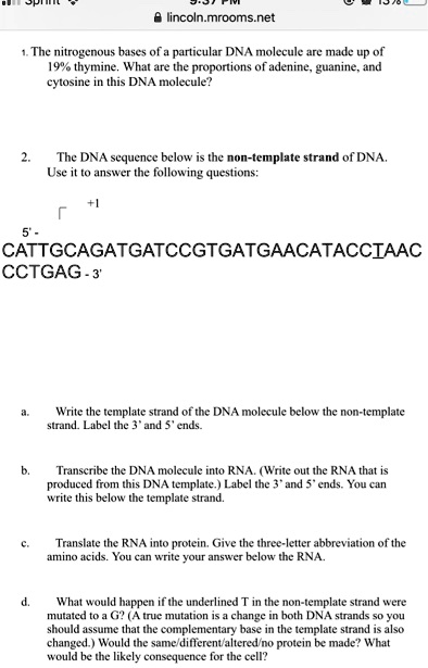 SOLVED: lincolnmrooms net The nitrogenous hases of a particular DNA ...