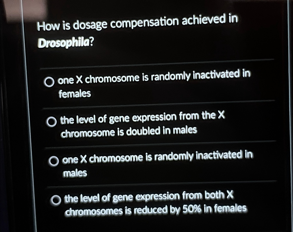 How is dosage compensation achieved in
Drosophila?
one X chromosome is randomly inactivated in
females
the level of gene expression from the X
chromosome is doubled in males
one X chromosome is randomly inactivated in
males
the level of gene expression from both X
chromosomes is reduced by 50% in females