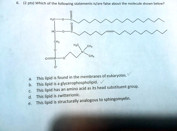 SOLVED (2 pts) Which of the following statements is/are false about