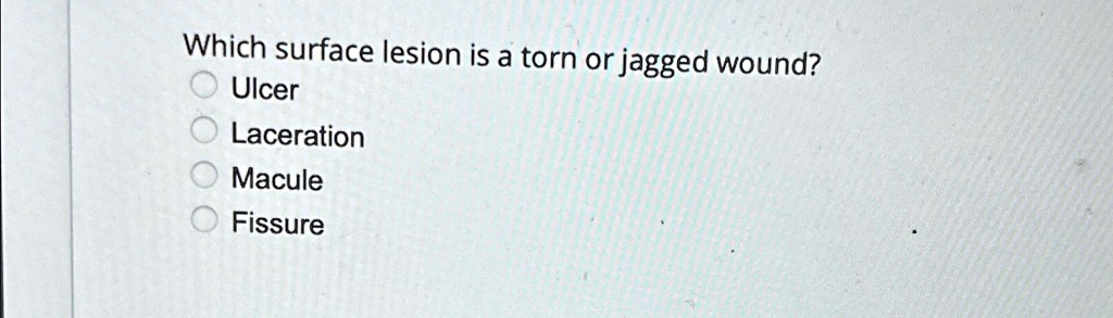 which surface lesion is a torn or jagged wound ulcer laceration macule ...