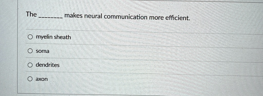 The  makes neural communication more efficient.

? myelin sheath
? soma
? dendrites
? axon