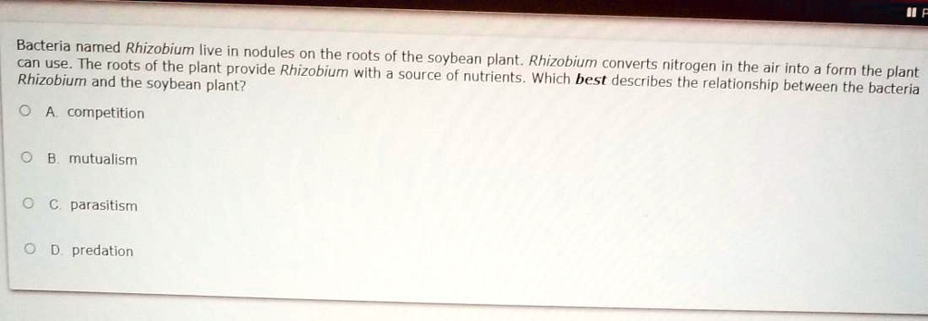 Bacteria named Rhizobium live in nodules on the roots of the soybean plant. Rhizobium converts nitrogen in the air into a form the plant can use. The roots of the plant provide Rhizobium with a source of nutrients. Which best describes the relationship between the bacteria Rhizobium and the soybean plant?
A. competition
B. mutualism
C. parasitism
D. predation