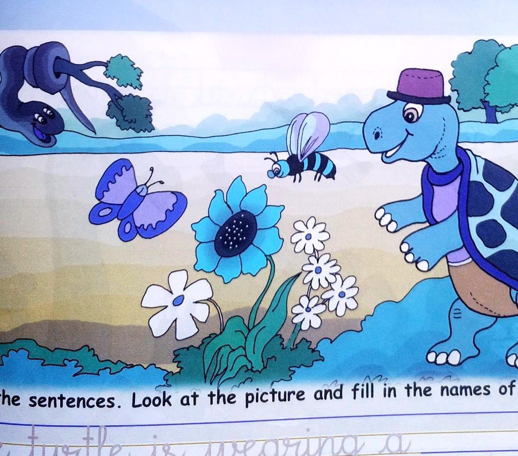 trace the sentences look at the picture and fill in the names of ...