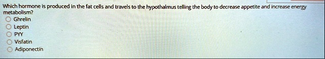 which hormone is produced in the fat cells and travels to the hypothalamus telling the body to decrease appetite and increase energy metabolism ghrelin leptin pyy visfatin adiponectin 10098
