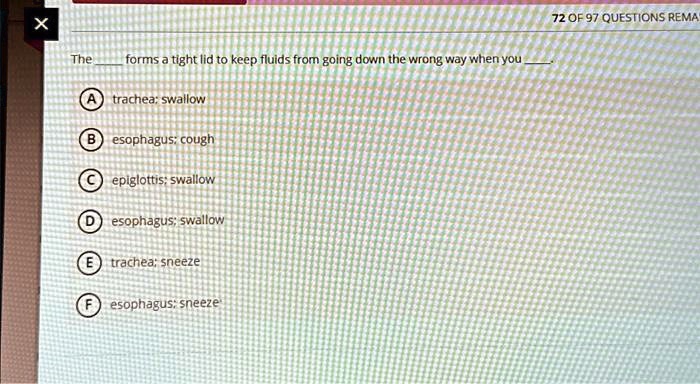 SOLVED The Trachea Forms A Tight Lid To Keep Fluids From Going Down   Bd0db67846a74531bd60c06eb9c006f2 
