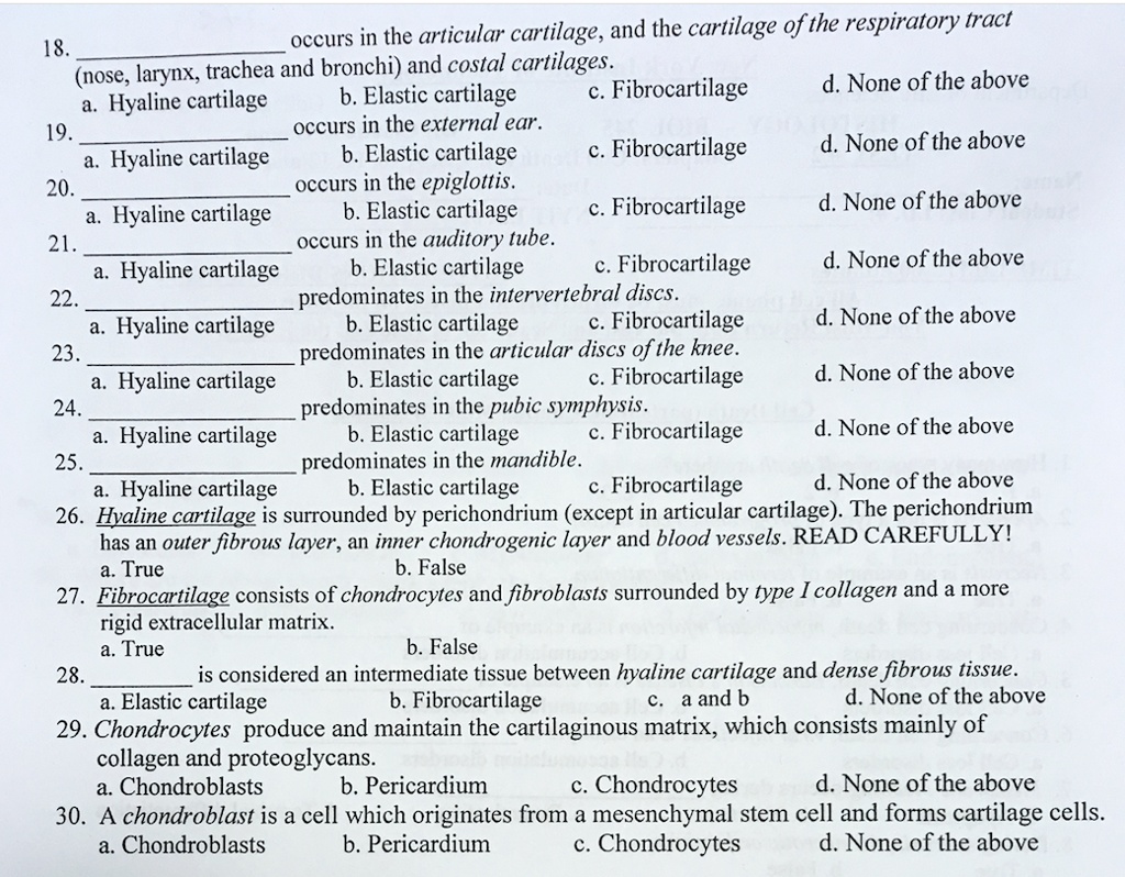 18.  occurs in the articular cartilage, and the cartilage of the respiratory tract (nose, larynx, trachea and bronchi) and costal cartilages.
a. Hyaline cartilage b. Elastic cartilage c. Fibrocartilage d. None of the above
19.  occurs in the external ear.
a. Hyaline cartilage b. Elastic cartilage c. Fibrocartilage d. None of the above
20.  occurs in the epiglottis.
a. Hyaline cartilage b. Elastic cartilage c. Fibrocartilage d. None of the above
21.  occurs in the auditory tube.
a. Hyaline cartilage b. Elastic cartilage c. Fibrocartilage d. None of the above
22.  predominates in the intervertebral discs.
a. Hyaline cartilage b. Elastic cartilage c. Fibrocartilage d. None of the above
23.  predominates in the articular discs of the knee.
a. Hyaline cartilage b. Elastic cartilage c. Fibrocartilage d. None of the above
24.  predominates in the pubic symphysis.
a. Hyaline cartilage b. Elastic cartilage c. Fibrocartilage d. None of the above
25.  predominates in the mandible.
a. Hyaline cartilage b. Elastic cartilage c. Fibrocartilage d. None of the above
26. Hyaline cartilage is surrounded by perichondrium (except in articular cartilage). The perichondrium has an outer fibrous layer, an inner chondrogenic layer and blood vessels. READ CAREFULLY!
a. True b. False
27. Fibrocartilage consists of chondrocytes and fibroblasts surrounded by type I collagen and a more rigid extracellular matrix.
a. True b. False
28.  is considered an intermediate tissue between hyaline cartilage and dense fibrous tissue.
a. Elastic cartilage b. Fibrocartilage c. a and b d. None of the above
29. Chondrocytes produce and maintain the cartilaginous matrix, which consists mainly of collagen and proteoglycans.
a. Chondroblasts b. Pericardium c. Chondrocytes d. None of the above
30. A chondroblast is a cell which originates from a mesenchymal stem cell and forms cartilage cells.
a. Chondroblasts b. Pericardium c. Chondrocytes d. None of the above