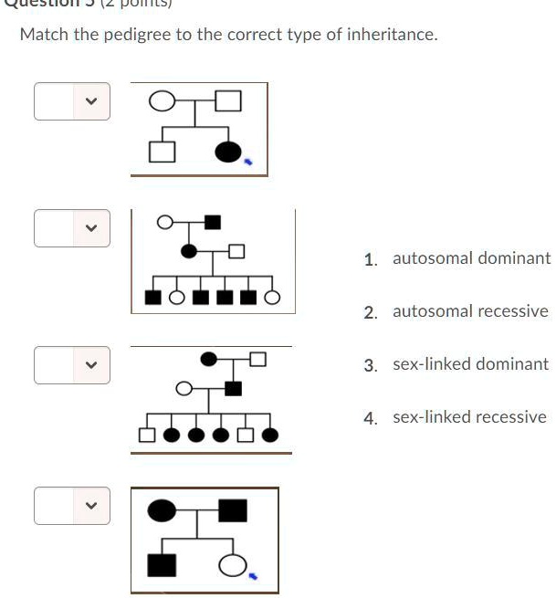 Solved Match The Pedigree To The Correct Type Of Inheritance Ucslion 2 Pupils Match The 1639