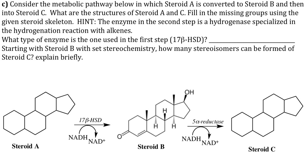 SOLVED: C) Consider The Metabolic Pathway Below In Which Steroid A Is ...