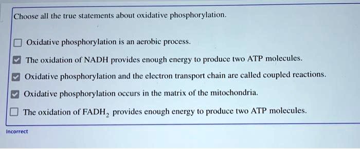 SOLVED: Choose all the true statements about oxidative phosphorylation