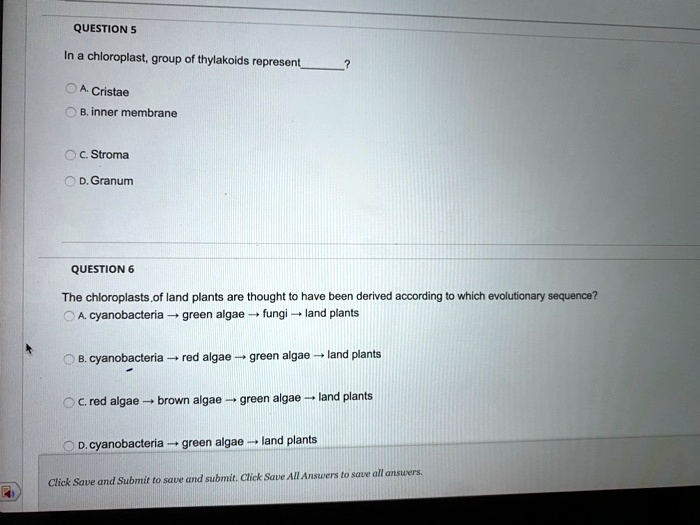 SOLVED: QUESTION 5 In a chloroplast, a group of thylakoids represents ...