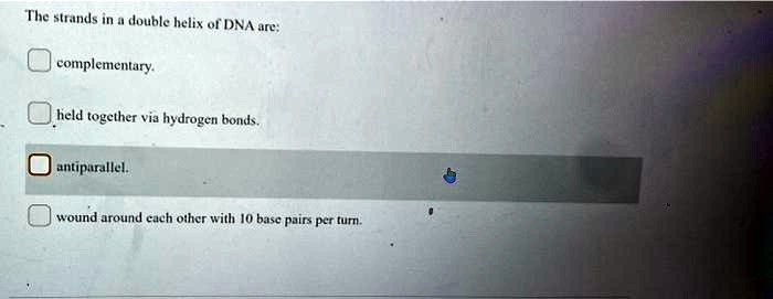 The strands in a double helix of DNA are:

complementary.

held together via hydrogen bonds.

antiparallel.

wound around each other with 10 base pairs per turn.