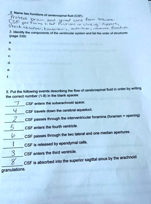 2. Name two functions of cerebrospinal fluid (CSF).
Protect brain and spinal cord from trauma
CSF performs vital functions including: support,
shock absorber, homeostasis, nutrition, immune function.
3. Identify the components of the ventricular system and list the order of structures
(page 339):
a.
b.
c.
d.
e.
f.
5. Put the following events describing the flow of cerebrospinal fluid in order by writing
the correct number (1-8) in the blank spaces:
7
CSF enters the subarachnoid space.
4
CSF travels down the cerebral aqueduct.
2
CSF passes through the interventricular foramina (foramen = opening)
5
CSF enters the fourth ventricle.
6
CSF passes through the two lateral and one median apertures.
1
CSF is released by ependymal cells.
3
CSF enters the third ventricle.
8
CSF is absorbed into the superior sagittal sinus by the arachnoid
granulations.