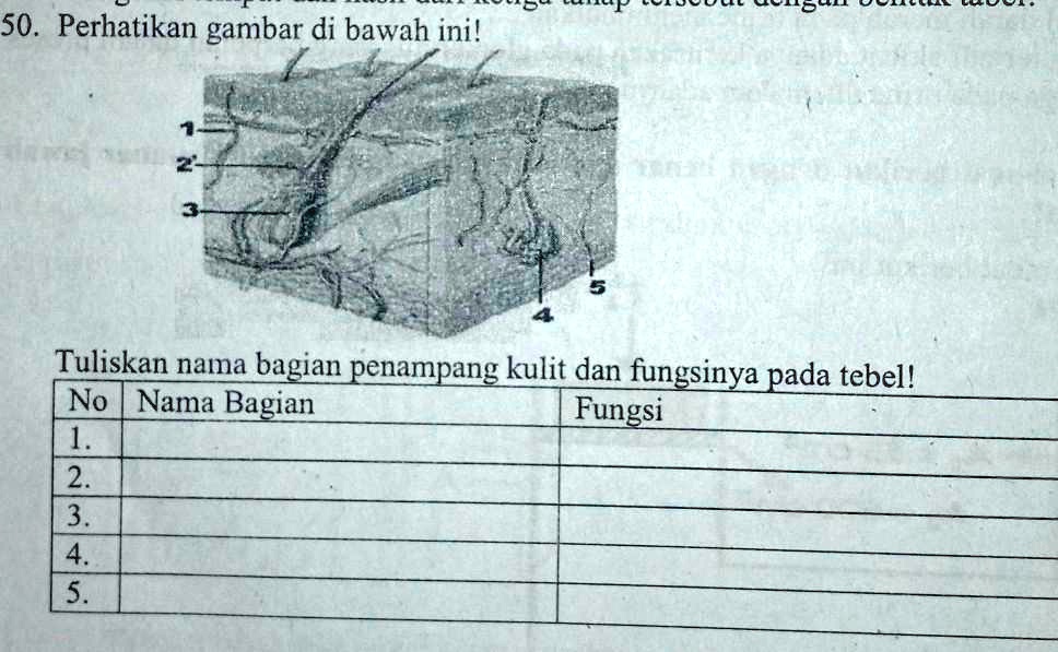 SOLVED: 50. Perhatikan gambar di bawah ini!W NTuliskan nama bagian ...