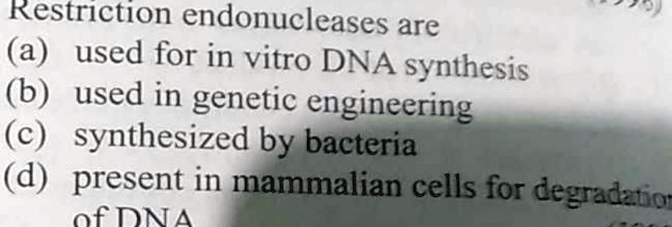 Restriction endonucleases are
(a) used for in vitro DNA synthesis
(b) used in genetic engineering
(c) synthesized by bacteria
(d) present in mammalian cells for degradation
of DNA