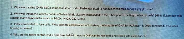 1. Why was a saline (0.9% NaCl) solution instead of distilled water used to remove cheek cells during a goggle rinse?
2. Why was instagene, which contains Chelex (binds divalent ions) added to the tubes prior to boiling the buccal cells? (Hint: Eukaryotic cells contain many heavy metals such as Mg2+, Mn2+, Ca2+, etc.).
3. Cells were boiled to lyse cells. Why does this preparation not destroy the integrity of DNA for PCR use? Is DNA denatured? If so, what bond(s) is broken?
4. Why are the tubes centrifuged a final time before the pure DNA can be removed and stored into clean tubes?