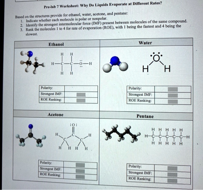 SOLVED Worksheet Why Do Liquids Evaporate at Different Rates? Prelab