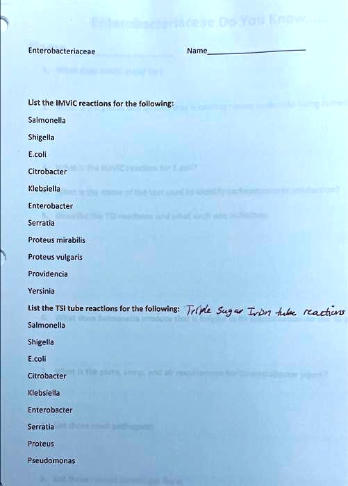 Solved Enterobacteriaceae List The Imvic Reactions For The Following Salmonella Shigella E