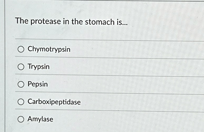The protease in the stomach is...

Chymotrypsin
Trypsin
Pepsin
Carboxipeptidase
Amylase