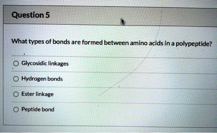 Solved Question 5 What Types Of Bonds Are Formed Between Amino Acids In A Polypeptide